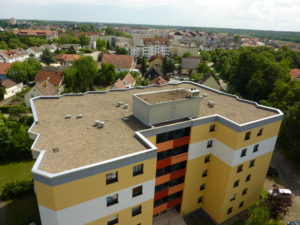 P1000035